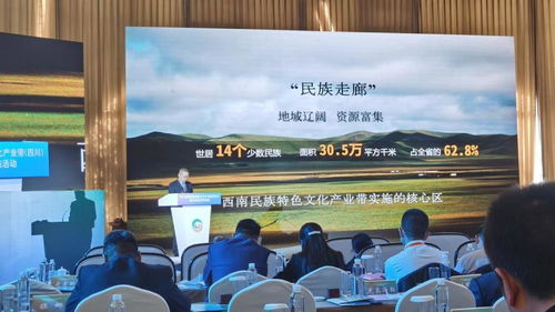 2021西南民族特色文化產(chǎn)業(yè)帶發(fā)展指南 總投資1960億元，開啟文化產(chǎn)業(yè)新篇章